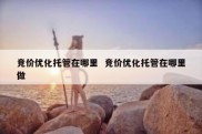竞价优化托管在哪里  竞价优化托管在哪里做