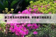 都江堰竞价托管哪里有  早安都江堰拍卖土地