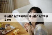 攀枝花广告公司哪家好  攀枝花广告公司哪家好点
