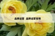 品牌运营  品牌运营管理