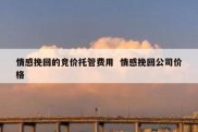情感挽回的竞价托管费用  情感挽回公司价格