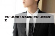 竞价托管项目名称怎么填  竞价托管哪家便宜
