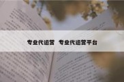 专业代运营  专业代运营平台