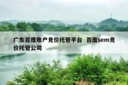 广东百度账户竞价托管平台  百度sem竞价托管公司