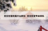 竞价托管的是什么职位  竞价托管专业团队
