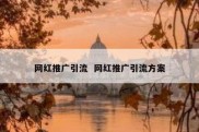 网红推广引流  网红推广引流方案