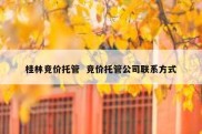 桂林竞价托管  竞价托管公司联系方式
