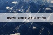 建站优化-竞价托管-张俊  张俊工作室
