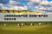 口碑好的竞价账户托管  竞价推广账户竞价托管多少钱