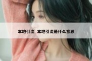 本地引流  本地引流是什么意思