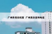 广州市竞价托管  广州竞价咨询电话