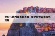 竞价托管内容怎么写好  竞价托管公司操作流程
