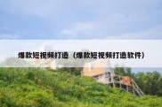 爆款短视频打造（爆款短视频打造软件）