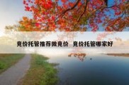 竞价托管推荐微竞价  竞价托管哪家好