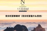 竞价托管那里好（竞价托管是什么意思）