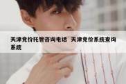天津竞价托管咨询电话  天津竞价系统查询系统