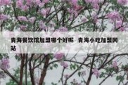 青海餐饮馆加盟哪个好呢  青海小吃加盟网站