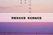 黔西竞价托管  竞价网站托管