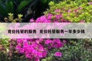竞价托管的服务  竞价托管服务一年多少钱