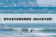 焦作抖音代运营优质商家（商丘抖音代运营）