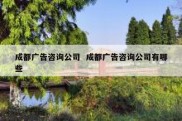 成都广告咨询公司  成都广告咨询公司有哪些