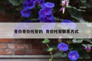 竞价竞价托管的  竞价托管联系方式
