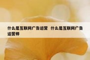 什么是互联网广告运营  什么是互联网广告运营师