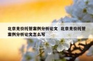 北京竞价托管案例分析论文  北京竞价托管案例分析论文怎么写