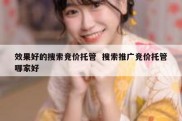 效果好的搜索竞价托管  搜索推广竞价托管哪家好