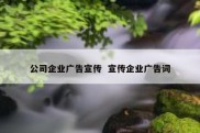公司企业广告宣传  宣传企业广告词