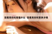 百度竞价托管是什么  百度竞价托管多少钱