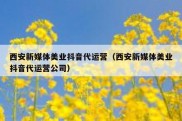 西安新媒体美业抖音代运营（西安新媒体美业抖音代运营公司）