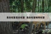 竞价托管竞价托管  竞价托管如何托管