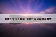 竞价托管什么公司  竞价托管公司联系方式