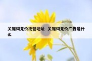 关键词竞价托管地址  关键词竞价广告是什么