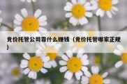 竞价托管公司靠什么赚钱（竞价托管哪家正规）