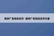 提供广告投放合作  提供广告投放合作方案