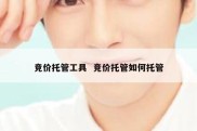 竞价托管工具  竞价托管如何托管