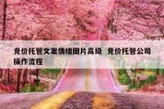 竞价托管文案情绪图片高级  竞价托管公司操作流程