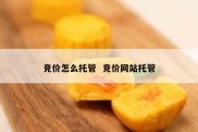 竞价怎么托管  竞价网站托管