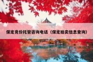 保定竞价托管咨询电话（保定拍卖信息查询）