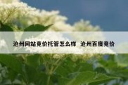 沧州网站竞价托管怎么样  沧州百度竞价