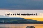 正规竞价托管策略（竞价托管哪家便宜）