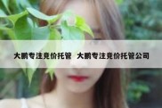大鹏专注竞价托管  大鹏专注竞价托管公司