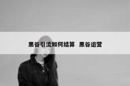 黑谷引流如何结算  黑谷运营