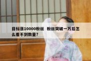 目标涨10000粉丝  粉丝突破一万后怎么看不到数量?