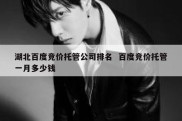 湖北百度竞价托管公司排名  百度竞价托管一月多少钱