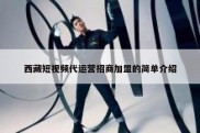 西藏短视频代运营招商加盟的简单介绍