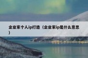 企业家个人ip打造（企业家ip是什么意思）