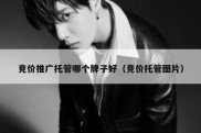 竞价推广托管哪个牌子好（竞价托管图片）